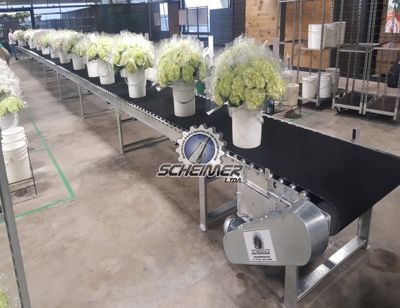 Bandas sobre rodillos